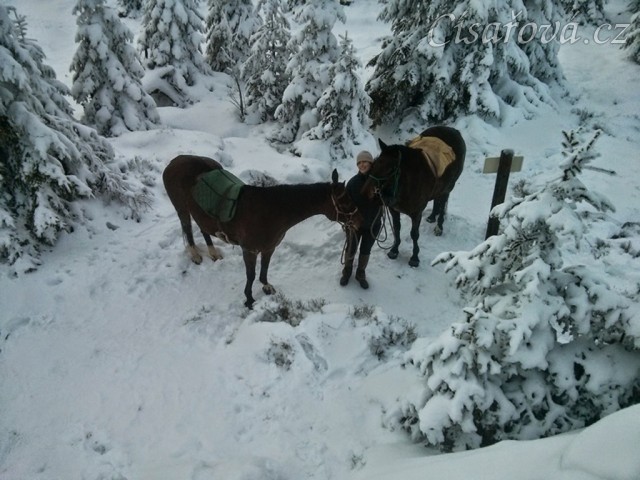 Novoroční vyjížďka, pod vrcholem Oblíku (1225m.n.m.)