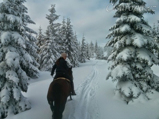 Novoroční vyjížďka, stoupání na Oblík