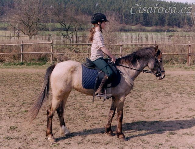Greisy s Radkou na jízdárně v Čelině, jaro 2003