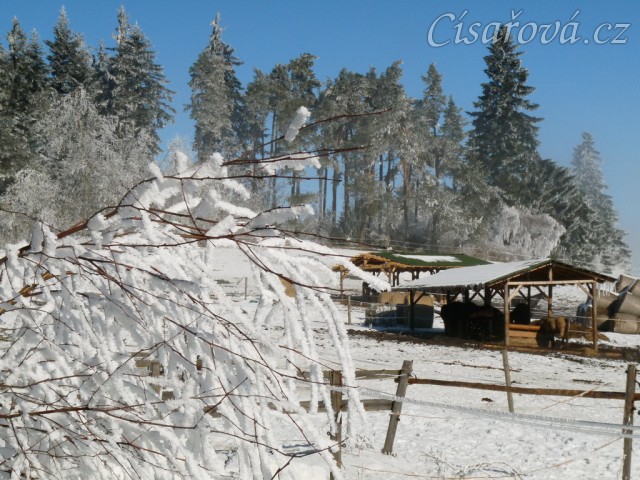 Zimní ráno...