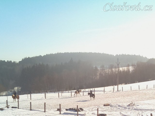 7.2.2015 - Příprava na sezónu je v plném proudu, písková jízdárna je perfektní i pod sněhem :-) 