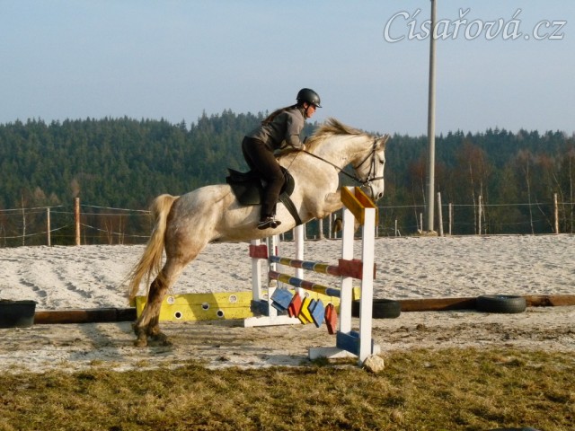 Dukát v březnu 2015