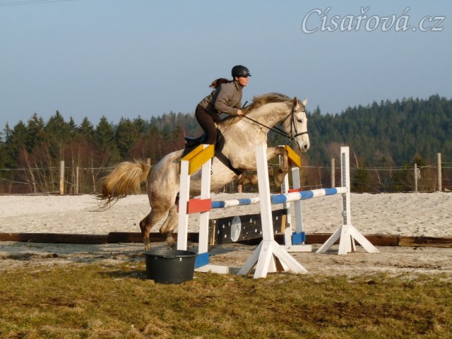 Dukát v březnu 2015