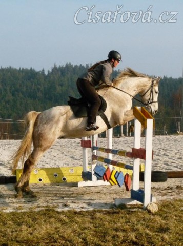 Dukát v březnu 2015