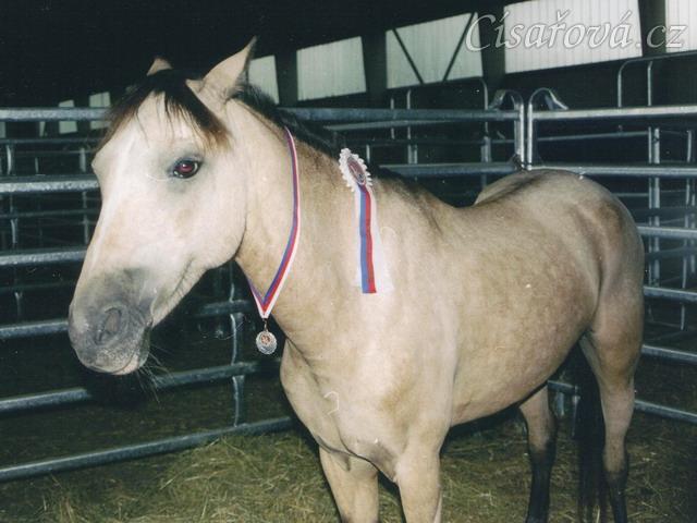 Mistrovství České republiky skoky pony 2003, Frenštát pod Radhoštěm. Greisy si užívá ve stáji stuhu a stříbrnou medaili.