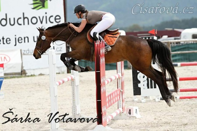 Ascara na KMK ve Zduchovicích 5.5.2015, parkur ZL