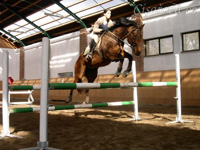 Skákání skokové řady