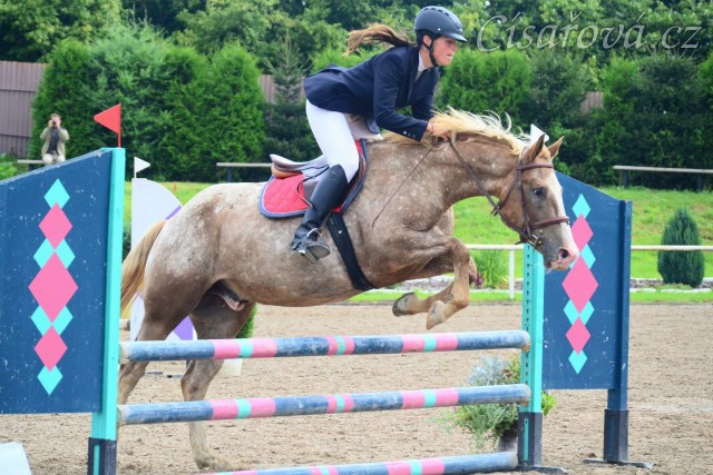 Terry, 2. místo v parkuru 80/90cm v Klatovech 2.5.