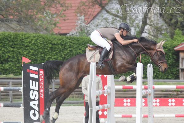 Chesterton, 4. místo v KMK ve Zduchovicích 5.5. (parkur L**) 