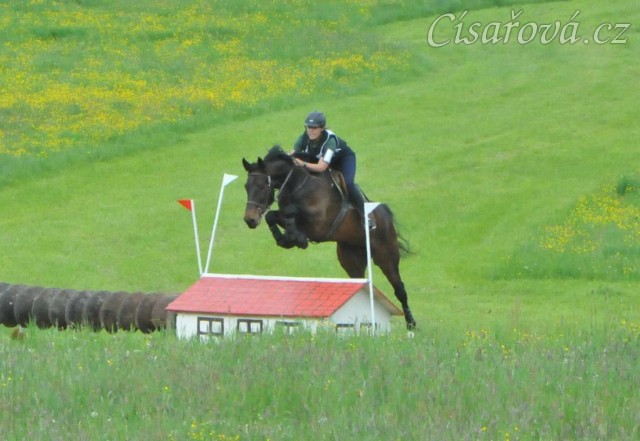 Chesterton, 4.místo v KMK v Borové 17.5. (všestrannost L) 