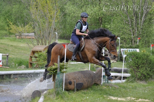 Bára, 8. místo ve všestrannosti L v Borové 17.5.