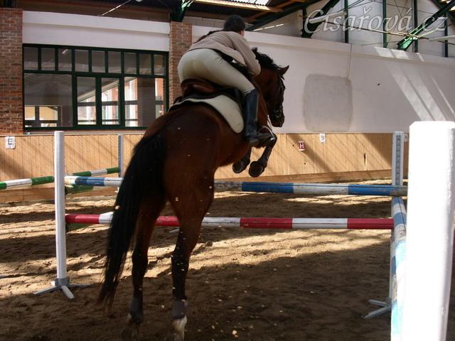 Tréninkový parkur 120cm vysoký