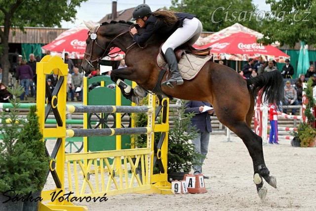 Chesterton, 5 . místo KMK Mariánské Lázně 17.6,  parkur L**