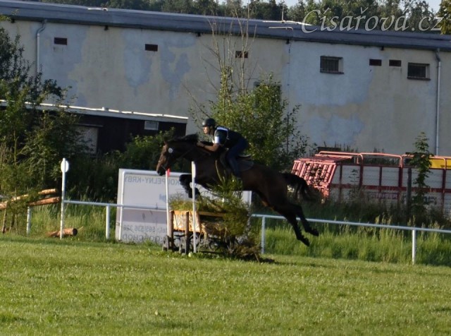 Chesterton, 5 . místo KMK Kolesa,  všestrannost L,  29.6.