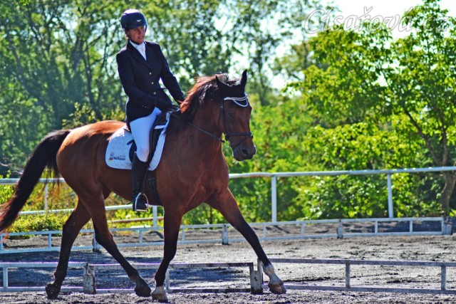 Bára 3. místo drezura stupně Z, Plzeň 11.7.