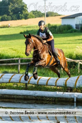 Chesterton, 10. místo všestrannost L -  Stříbrná podkova , Humpolec 19.7.