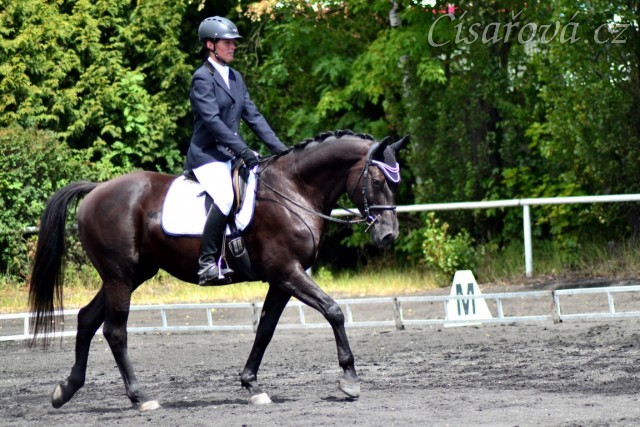Carthago, 1. a 2. místo v drezuře L ve Svržně 28.9.