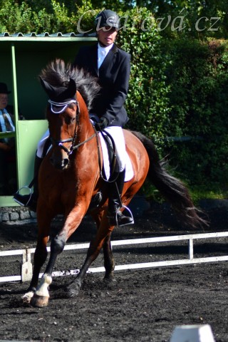 Bára 2. místo v drezuře Z ve Svržně 28.9.