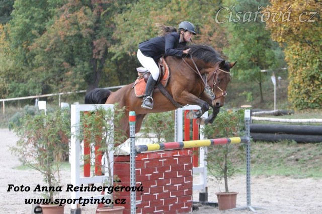 Bára 9. místo Pražské skokové derby Gabrielka 10.10.