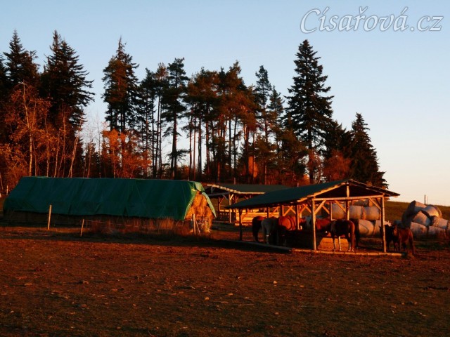 Východ slunce,  koně u seníku 