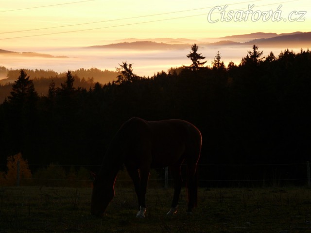 Mlhavá podzimní rána
