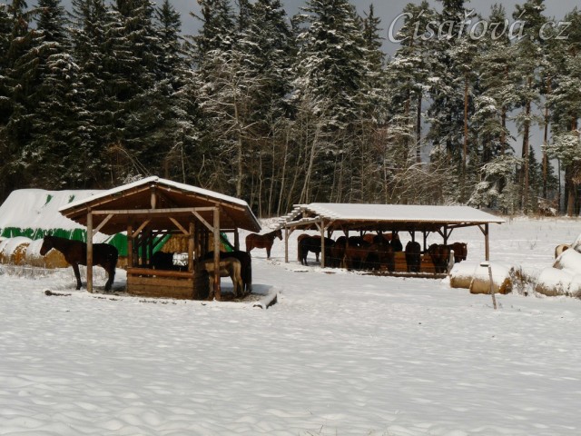 Zastřešené krmelce se těší velké oblibě 