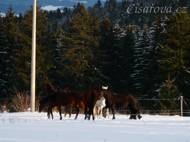 I holky ve sněhu řádily 