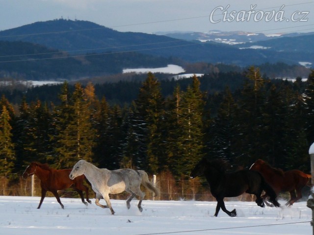 I holky ve sněhu řádily 