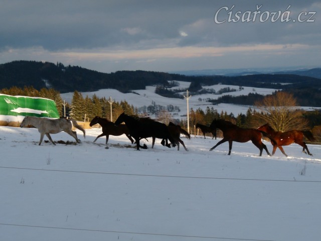 I holky ve sněhu řádily 