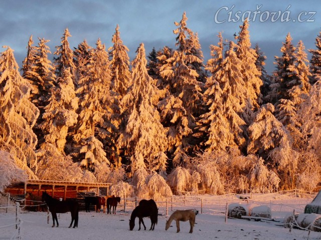 Brzké ráno, východ slunce 