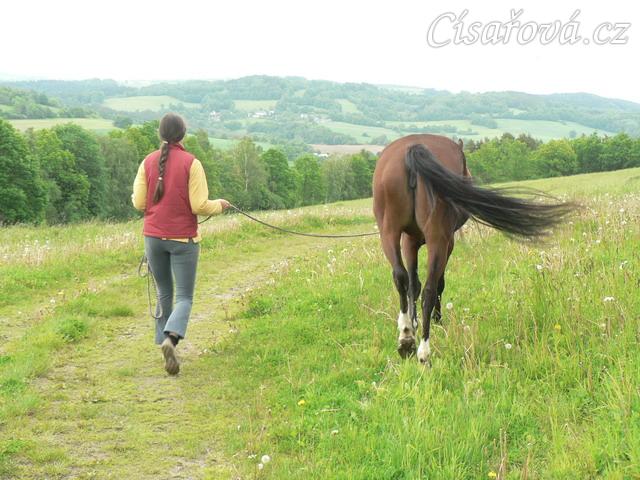 Vycházka před crossovou částí military