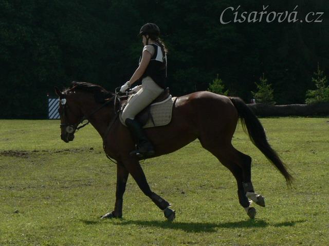 Příprava před startem crossu