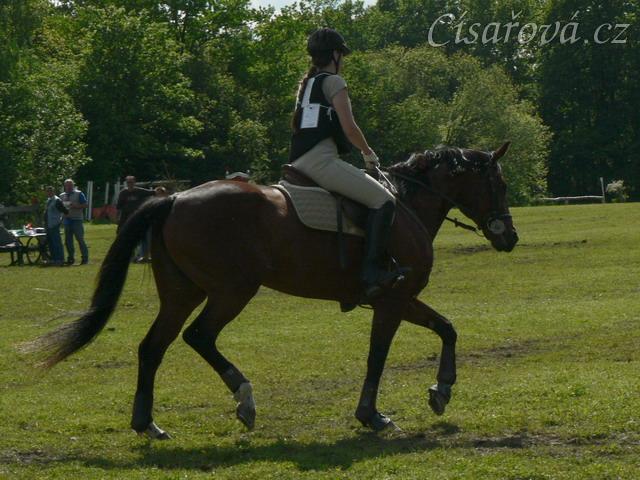 Příprava před startem crossu