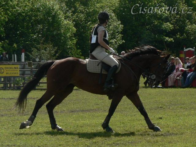 Příprava před startem crossu