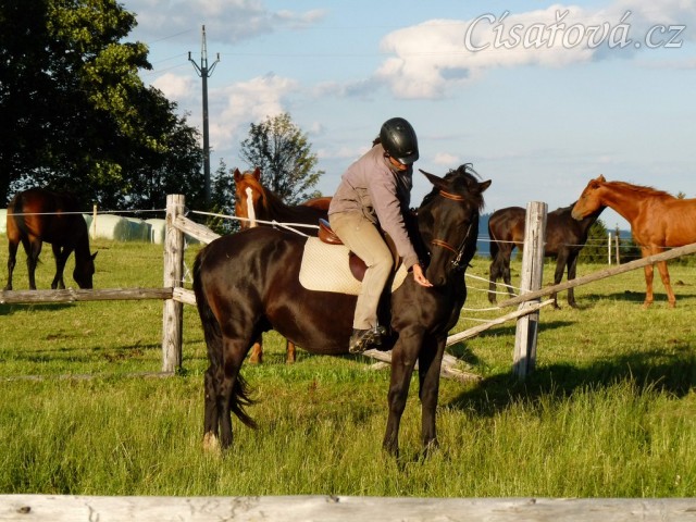 Solo Elpasa, obsedání, červen 2016