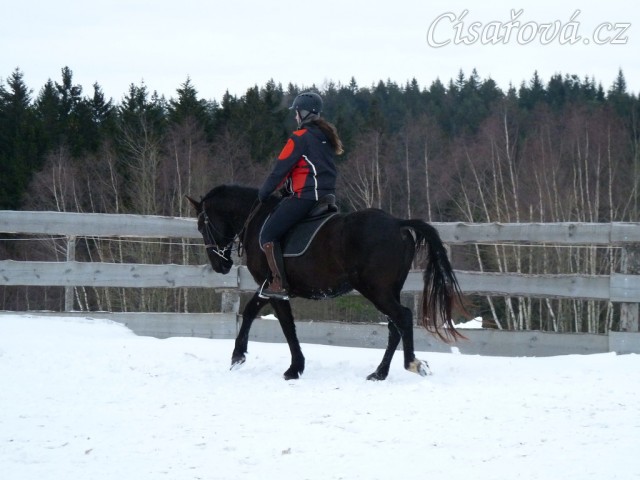 Solo Elpasa, leden 2017