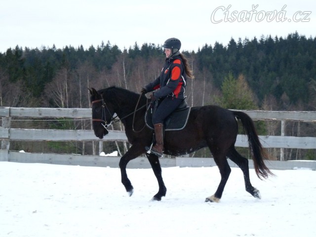 Solo Elpasa, leden 2017