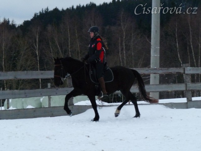 Solo Elpasa, leden 2017
