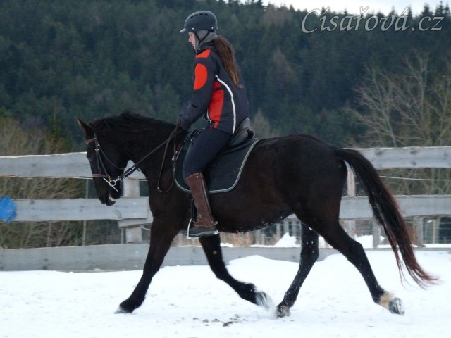Solo Elpasa, leden 2017