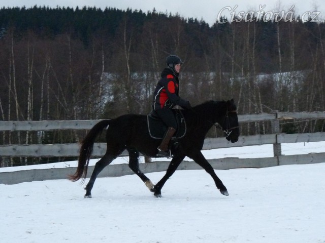 Solo Elpasa, leden 2017