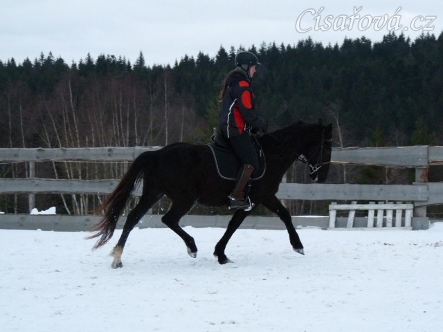 Solo Elpasa, leden 2017