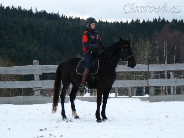 Solo Elpasa, leden 2017