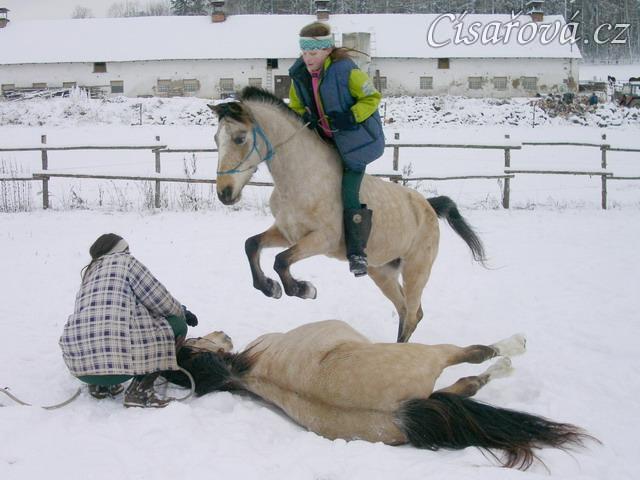 Greisy skáče přes Galena