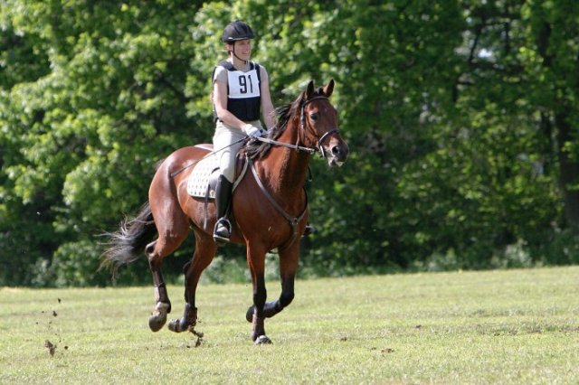 nájezd na překážku v crossu