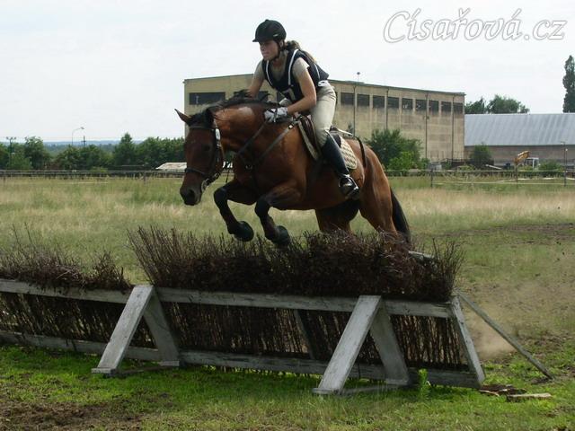 Skok přes proutěnku na opracovišti před crossem