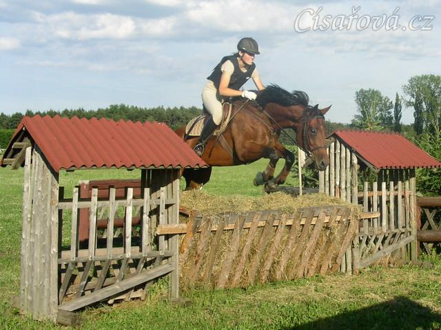 Trénink terénních skoků, skok přes krmítko
