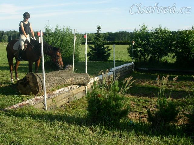 Trénink terénních skoků, Agáta pečlivě studuje místo doskoku, než se odhodlá skočit