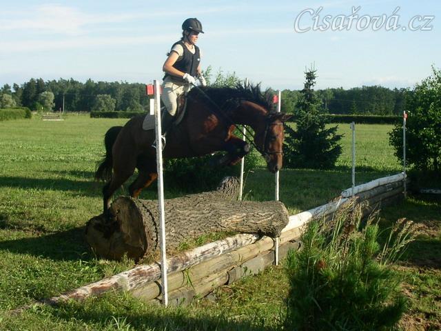 Trénink terénních skoků, seskok přes kládu do jámy
