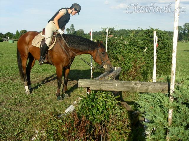 Trénink terénních skoků, Agáta a Adéla: "Není ten příkop nějak moc hlubokej?"