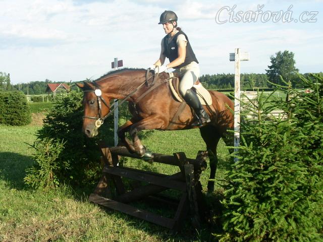 Trénink terénních skoků, skok přes kozu u jámy, kůň i jezdec se plně soustředí na jámu za skokem